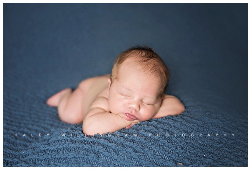 Winchester VA Newborn Photographer