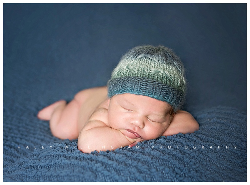 Winchester VA Newborn Photographer