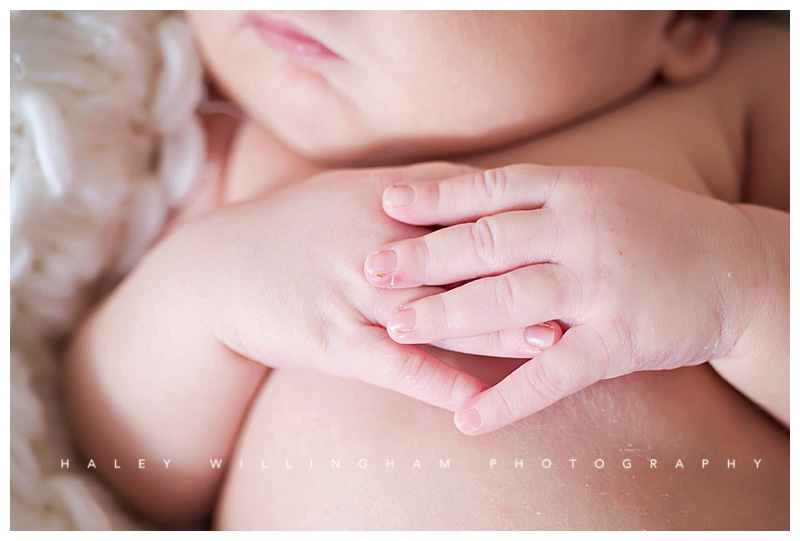 Winchester VA Newborn Photographer