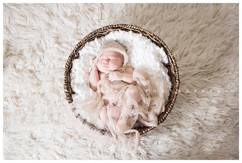 Winchester VA Newborn Photographer