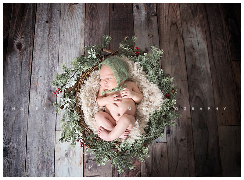 Winchester VA Newborn Photographer