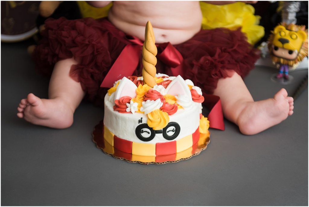 Charles Town WV Harry Potter First Birthday Cake Smash