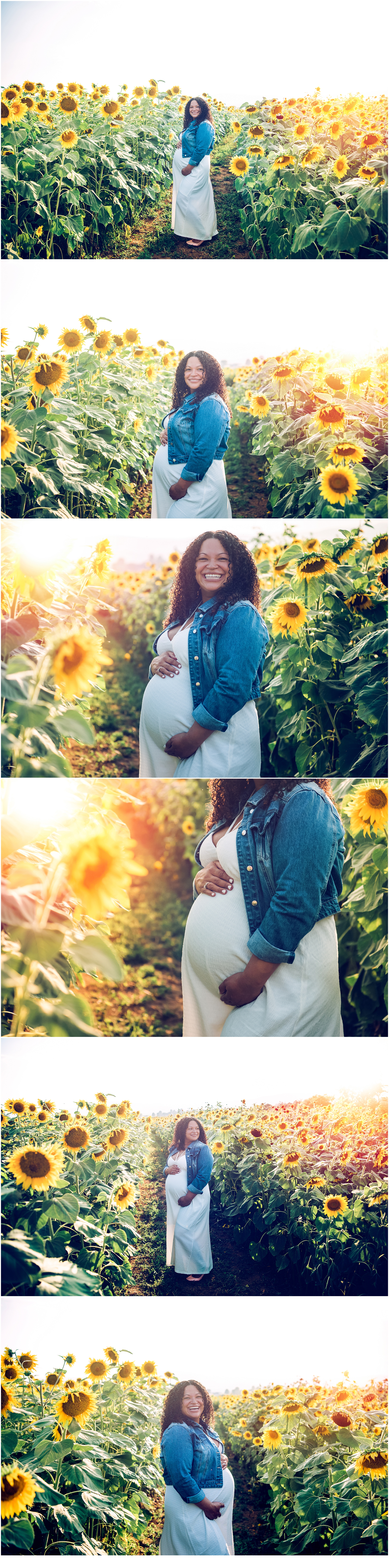 Charles Town West Virginia Maternity Photographer