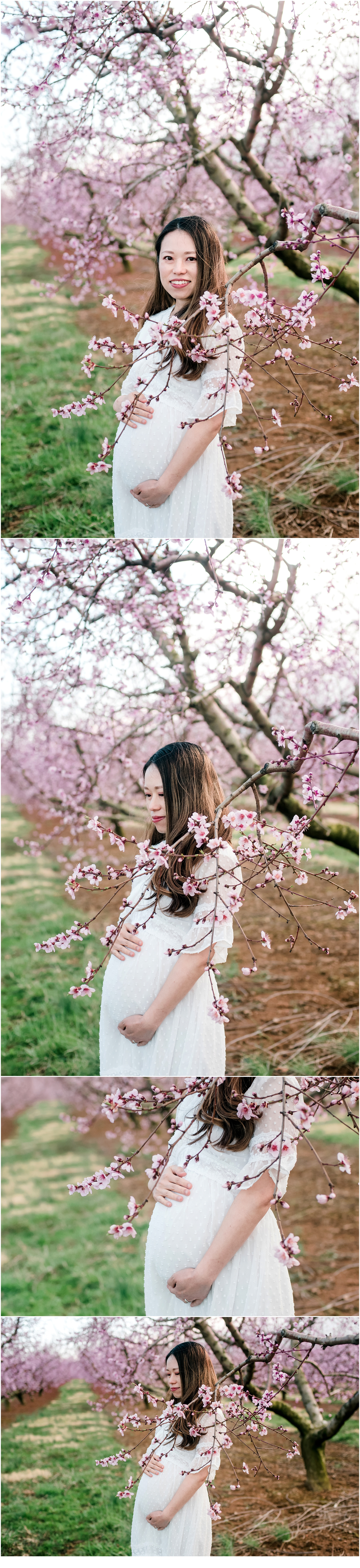 Martinsburg West Virginia Peach Blossom Mini Session Photography 